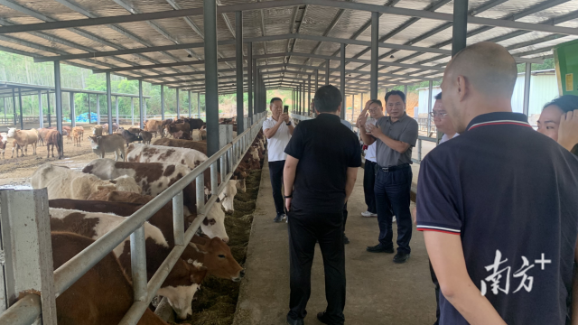 专题考察调研现场。 专题考察调研现场。