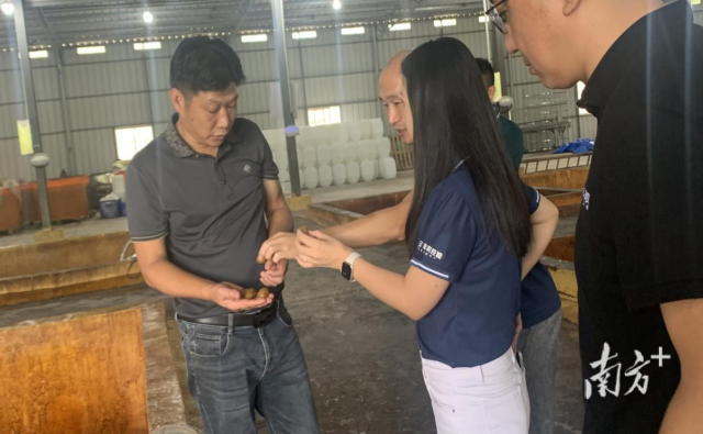 专题考察调研现场。 专题考察调研现场。