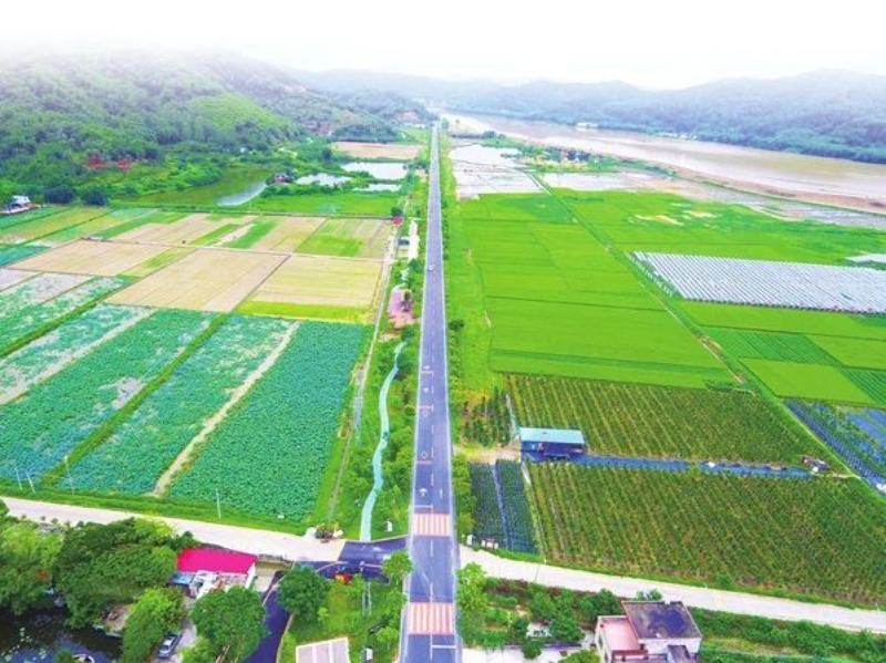 肇庆市形成“政府主导、部门协同、行业主抓、社会参与”的农村公路治理格局,在旅游产业发展、交通安全提升和文明城市建设方面取得了显著成效。图为肇庆439县道古邑道。