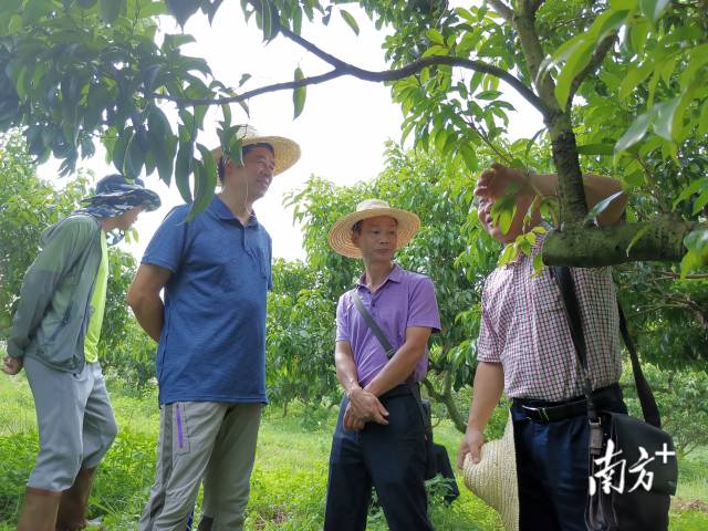 连国荣(左二)与专家交流。