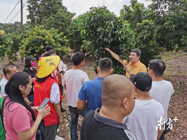 连国荣向农户传授种植经验。 连国荣向农户传授种植经验。