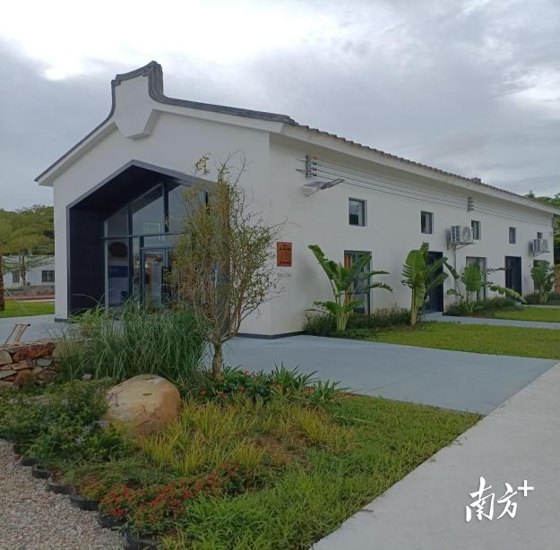 市城区红草镇亚洲村电力线“前线改后线”拔杆上墙。