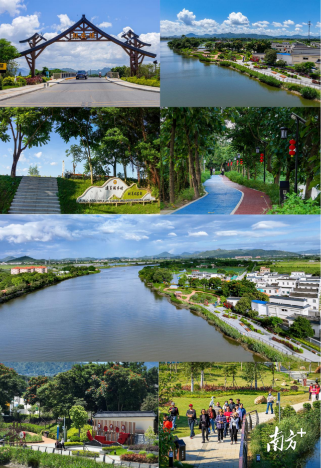 联安镇 “鹭影禾香”乡村振兴示范带。