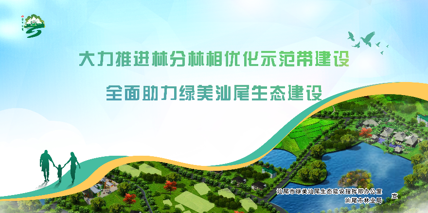 大力推进林分林相优化示范带建设全面助力绿美汕尾生态建设.jpg