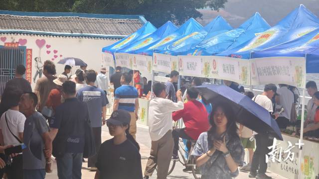    南方+ 陈保良 拍摄