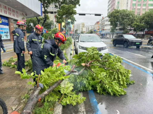 汕尾市各地各部门积极开展防风抢险救援工作