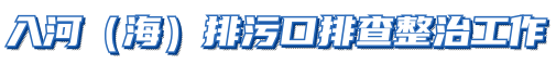 入河(海)排污口排查整治工作 入河(海)排污口排查整治工作