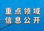 重点领域信息公开